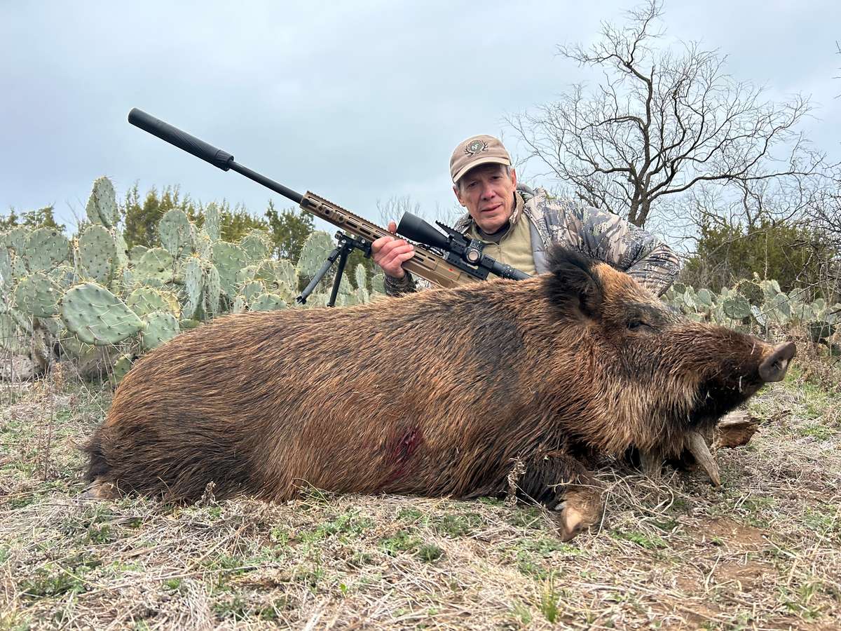 Hog Hunts Photo