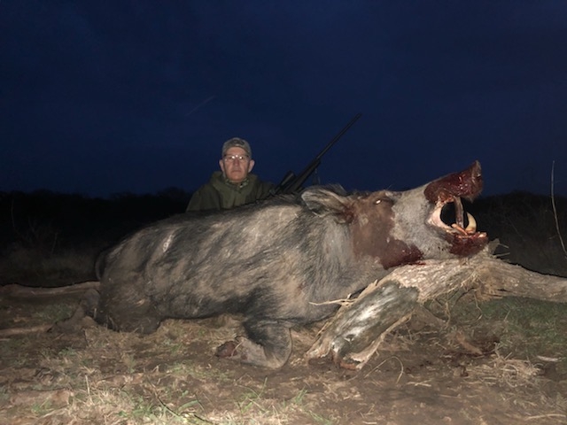 Hog Hunts Photo