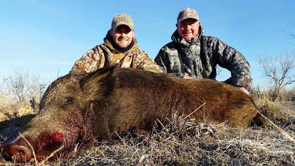 Hog Hunts Photo