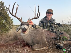 Mule Deer Hunts