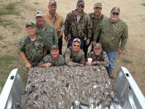 Dove Hunts